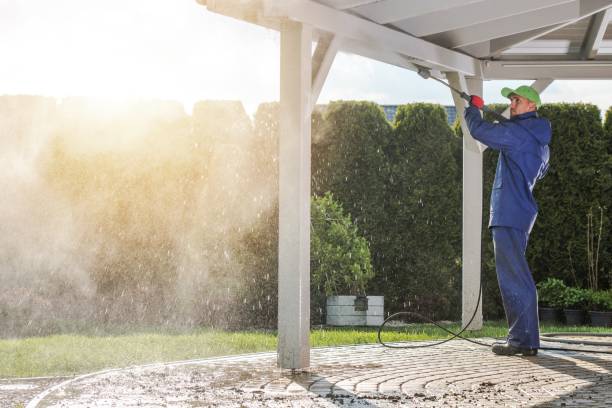 Best Solar Panel Cleaning  in Rising Sun, MD
