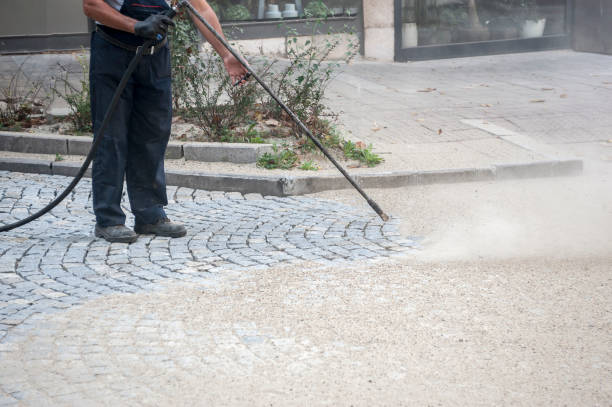 Best Building Exterior Washing  in Rising Sun, MD
