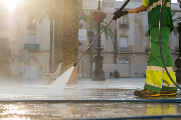 Best Gutter Cleaning  in Rising Sun, MD